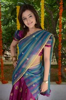 Nisha Agarwal Saree Photos